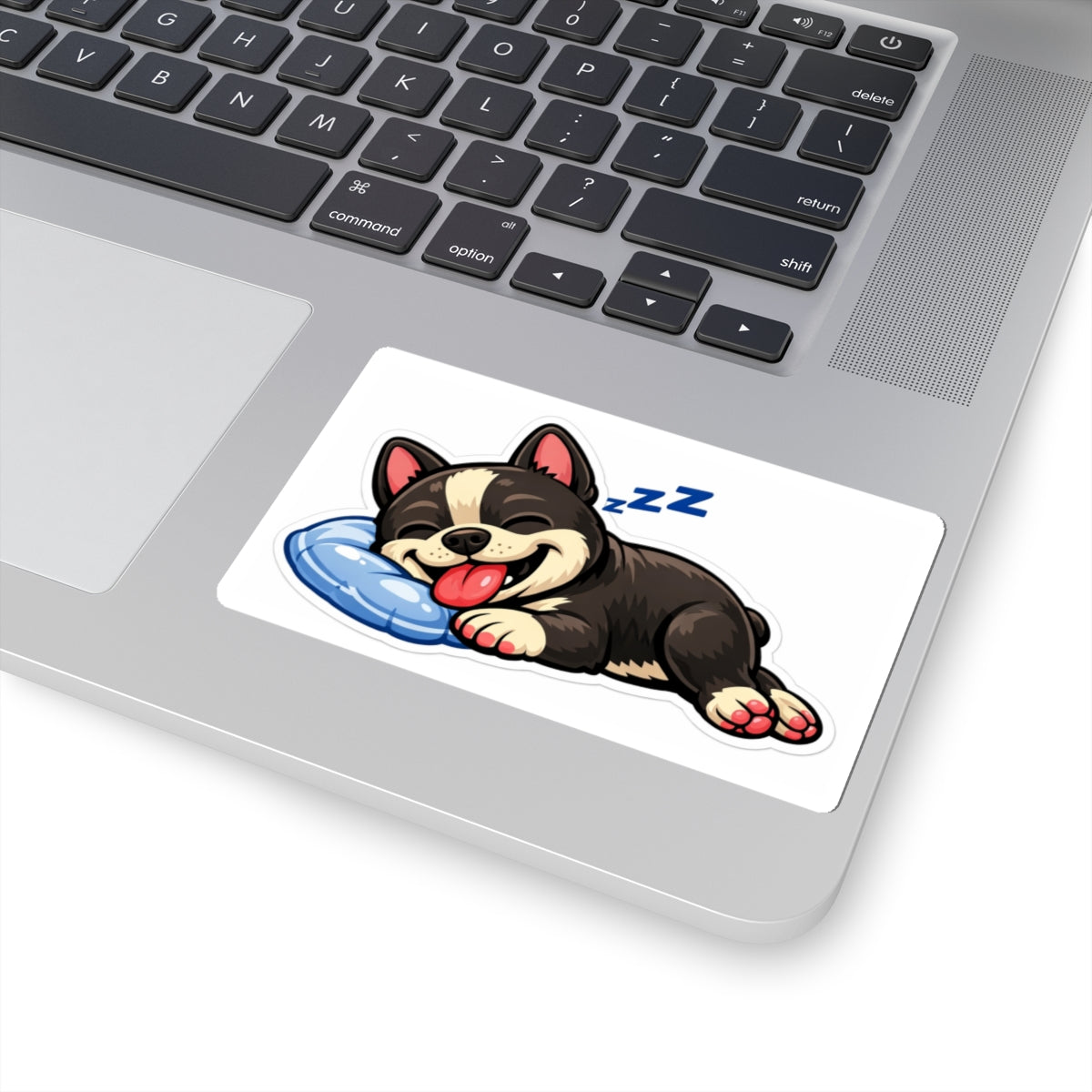 American Bully Daily Series — Cozy Nap