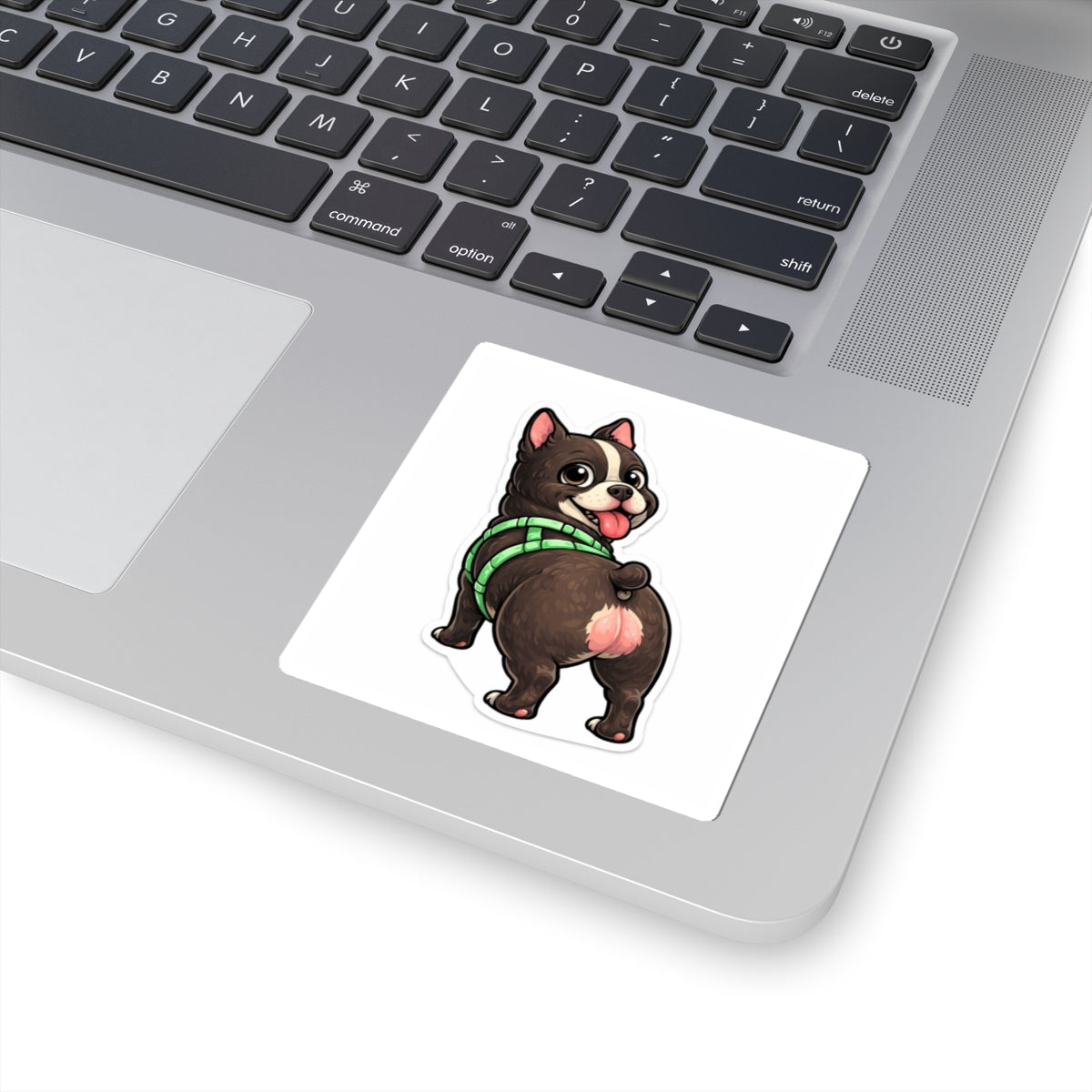 American Bully Daily Series — Butt First