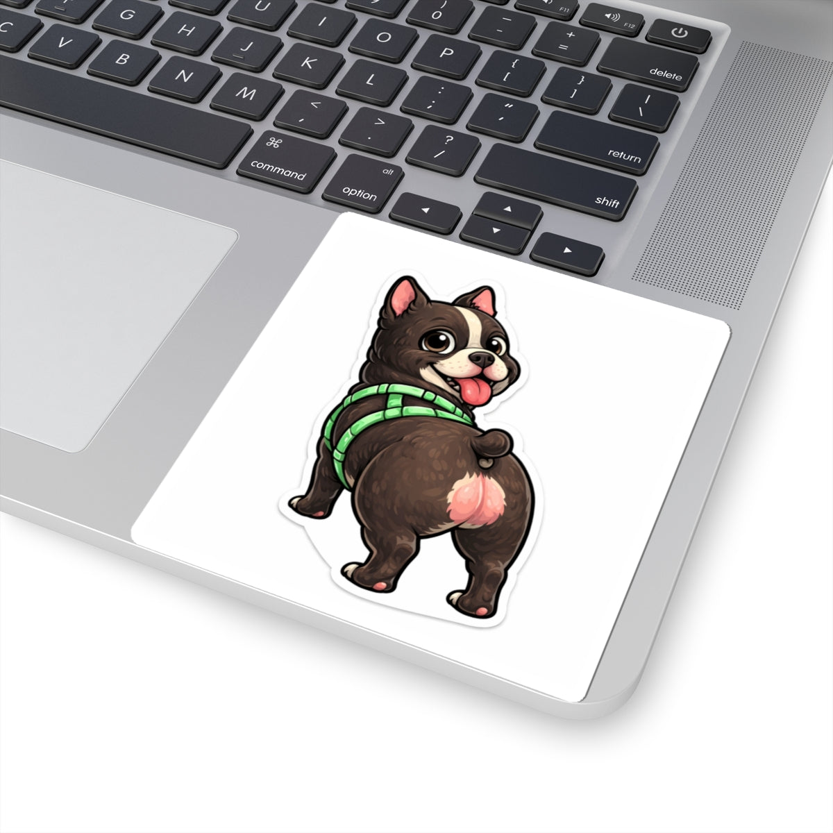 American Bully Daily Series — Butt First