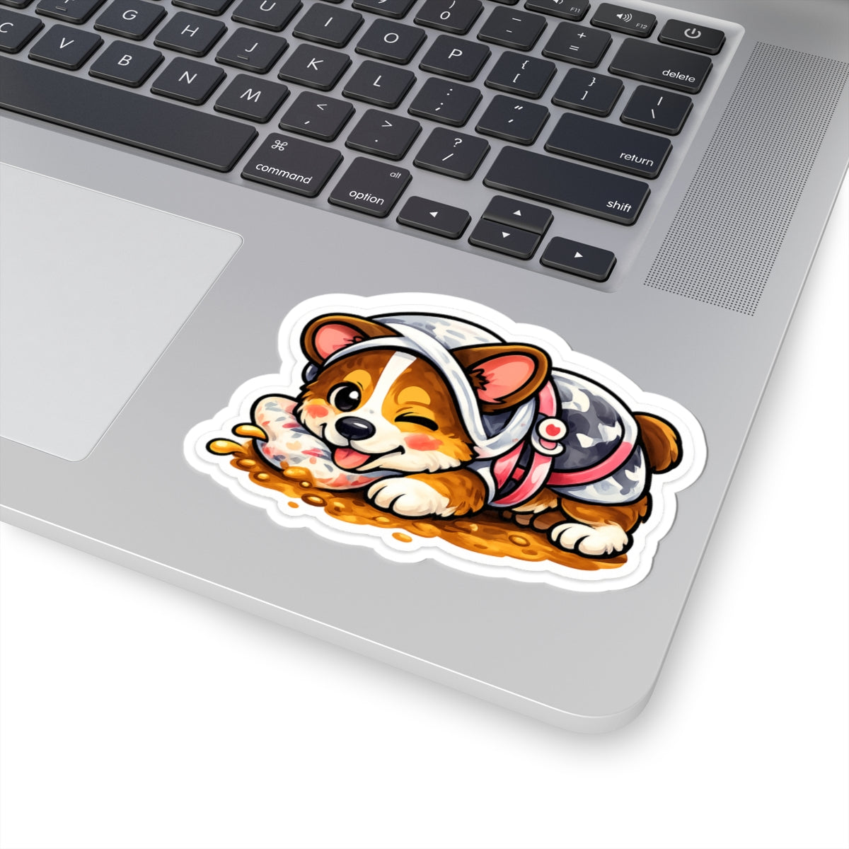 Corgi Daily Series — Exploring