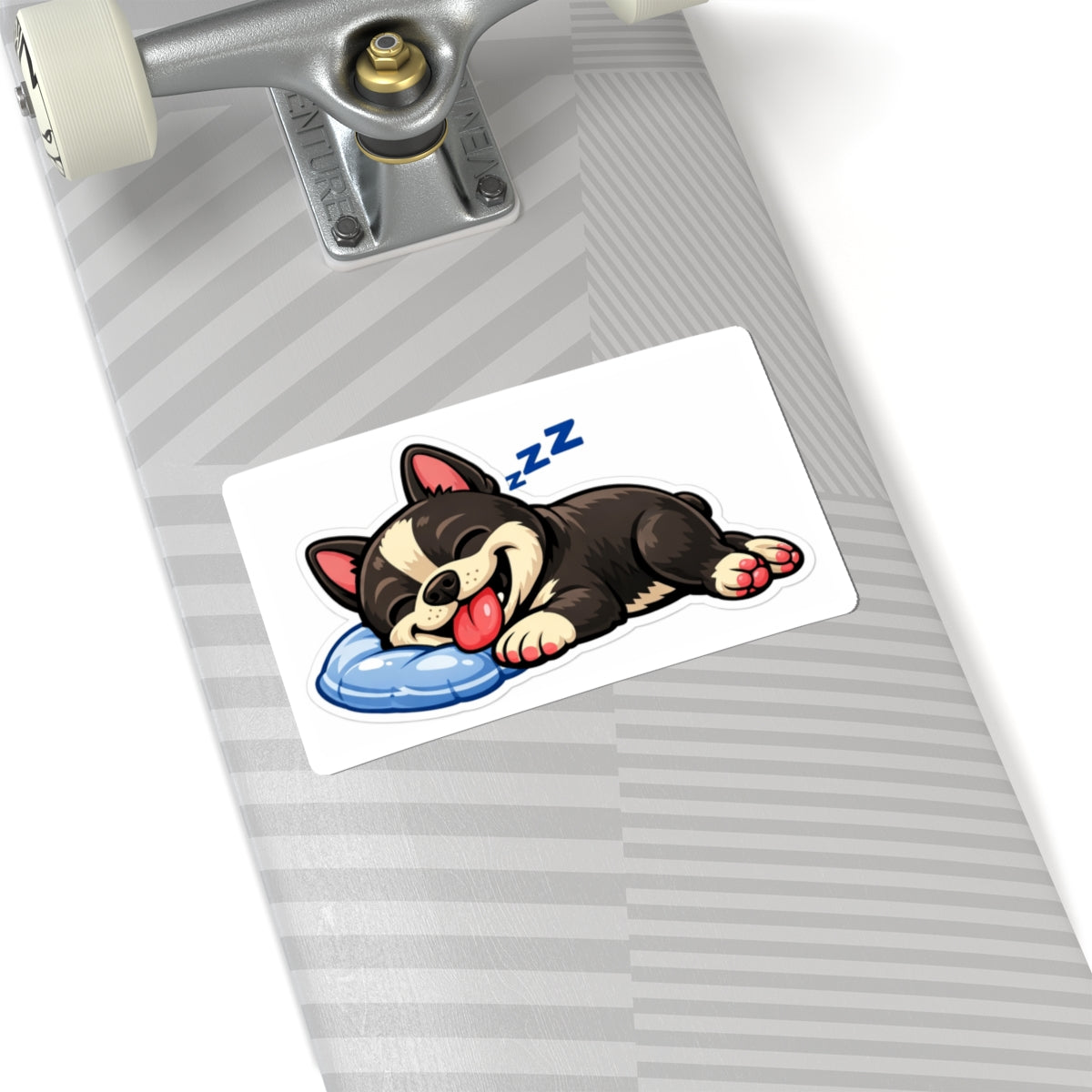 American Bully Daily Series — Cozy Nap