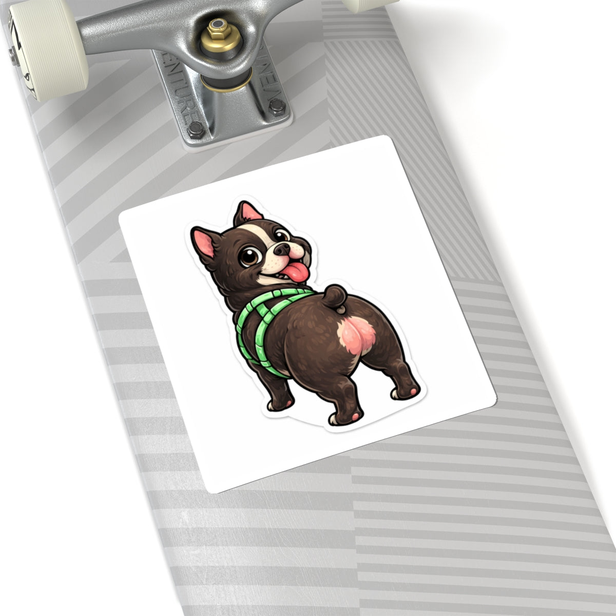 American Bully Daily Series — Butt First