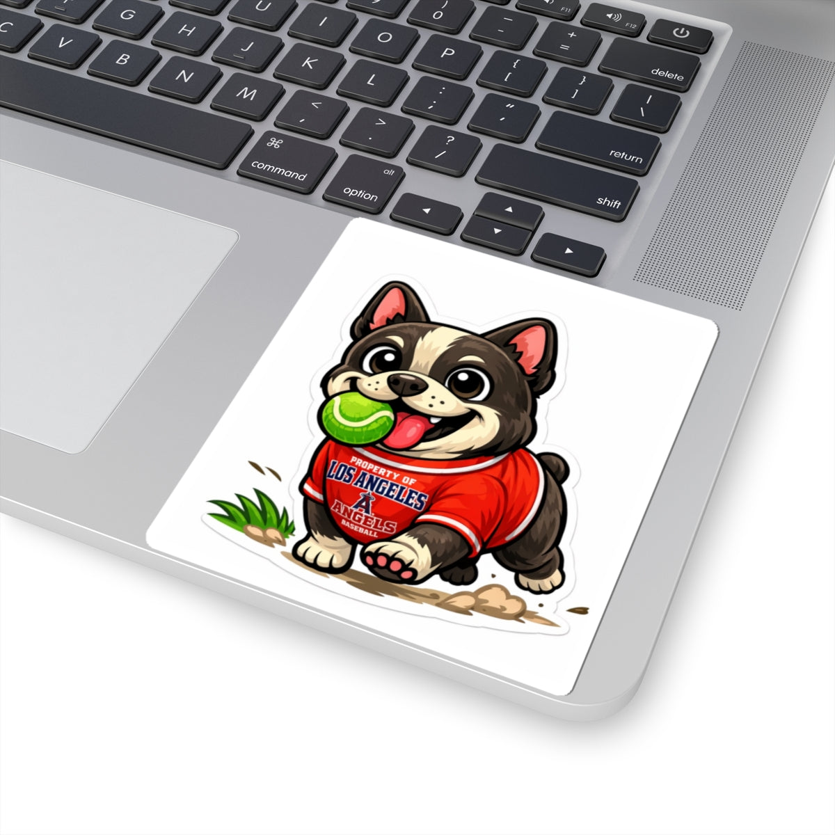 American Bully Daily Series — Ball Is Life