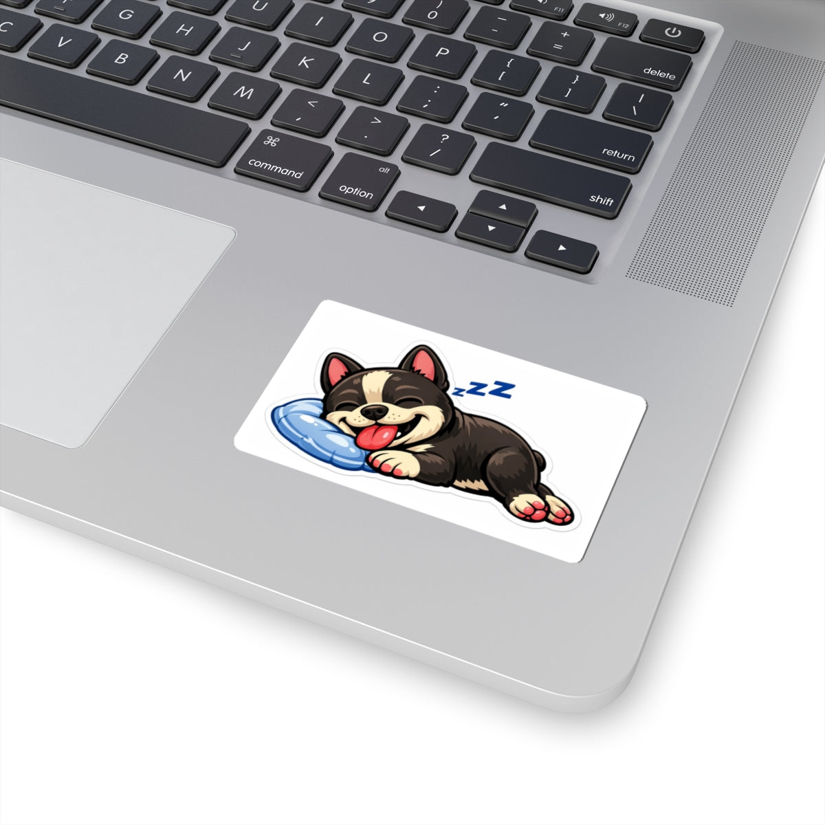 American Bully Daily Series — Cozy Nap