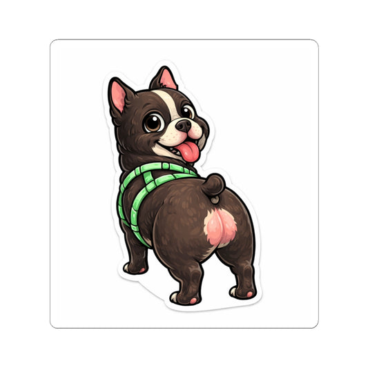 American Bully Daily Series — Butt First