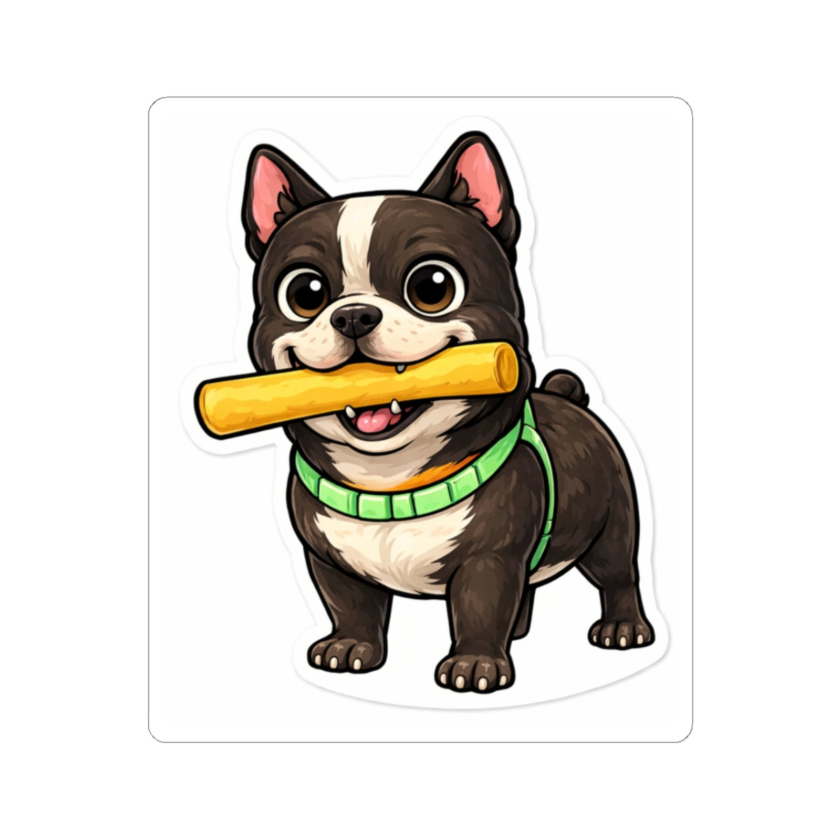 American Bully Daily Series — Snack Time