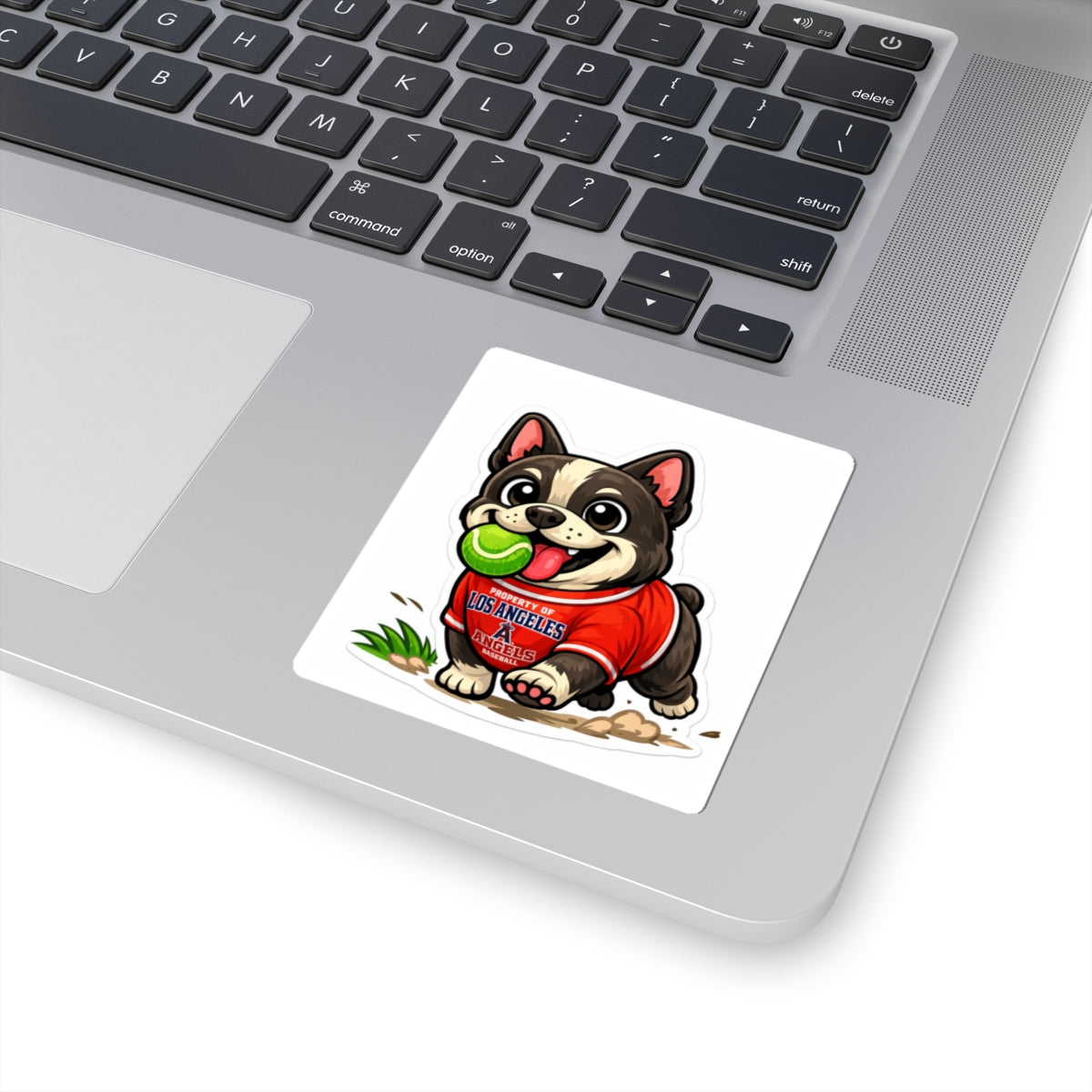 American Bully Daily Series — Ball Is Life