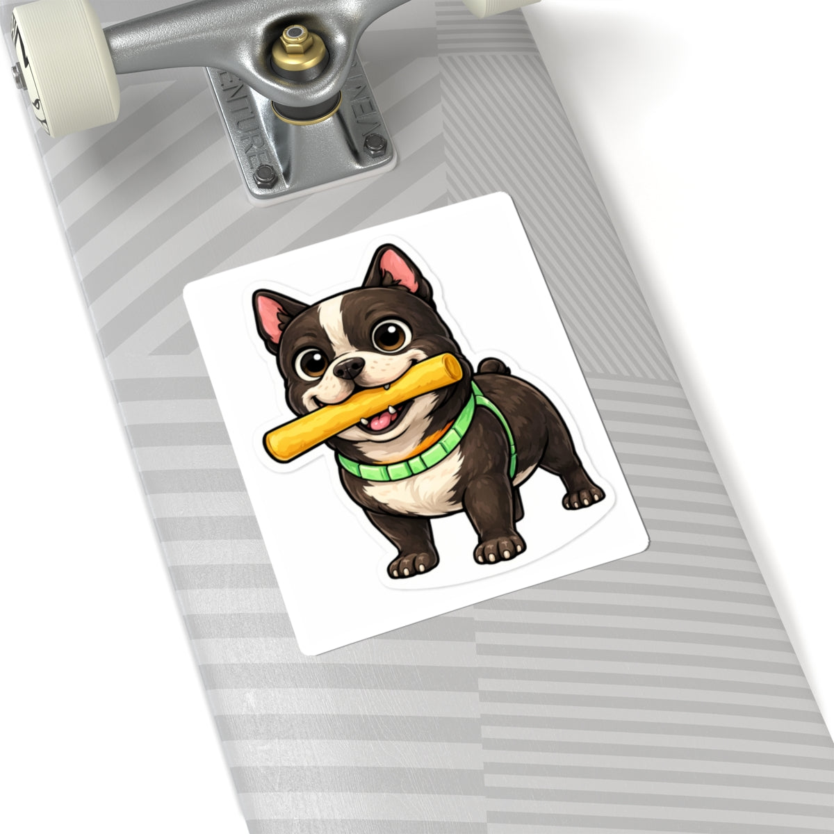 American Bully Daily Series — Snack Time